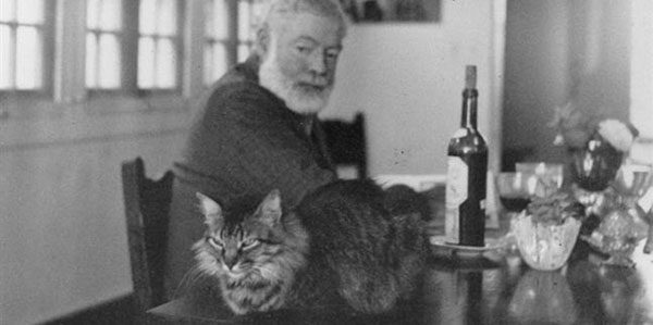 hemingwayscats