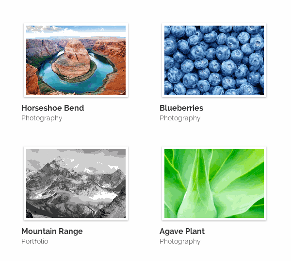 divi-thumbnail-border