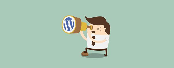 Where To Find A WordPress Developer When You Need A Custom Website