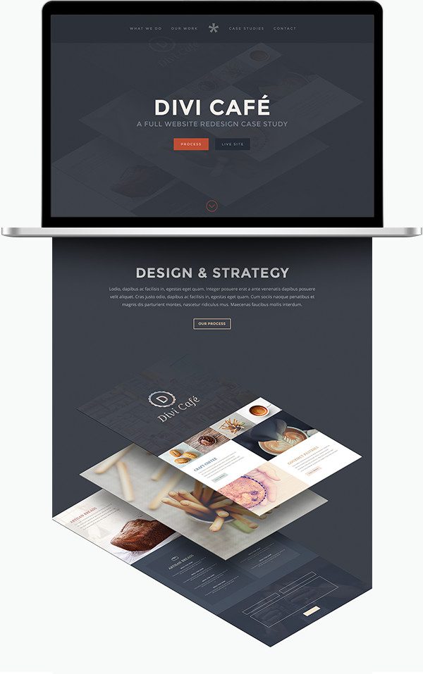divi-2-4-casestudydemo