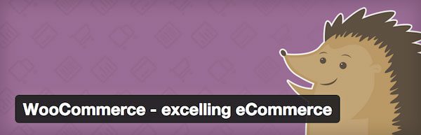 E-Commerce Tips Best Plugin