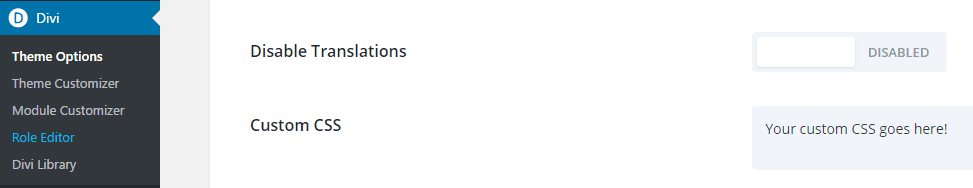 Divi's custom CSS option.