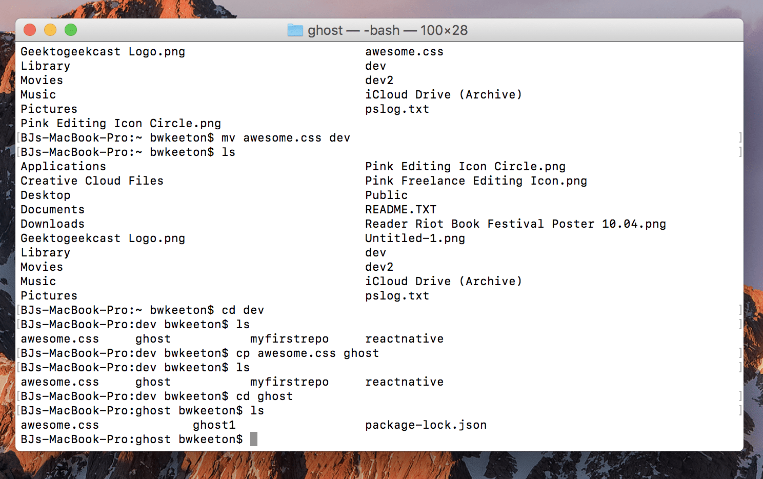 Command Line Prompts for WordPress