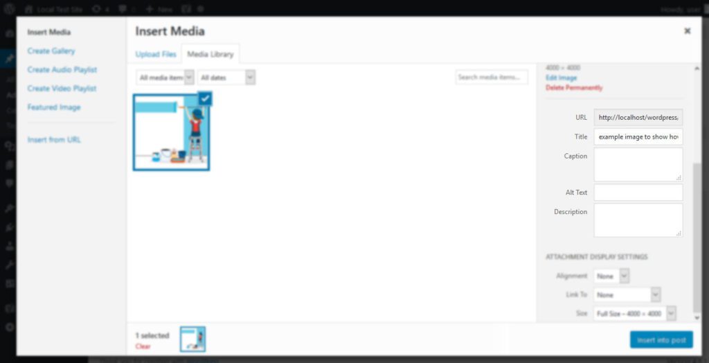 image details in wordpress