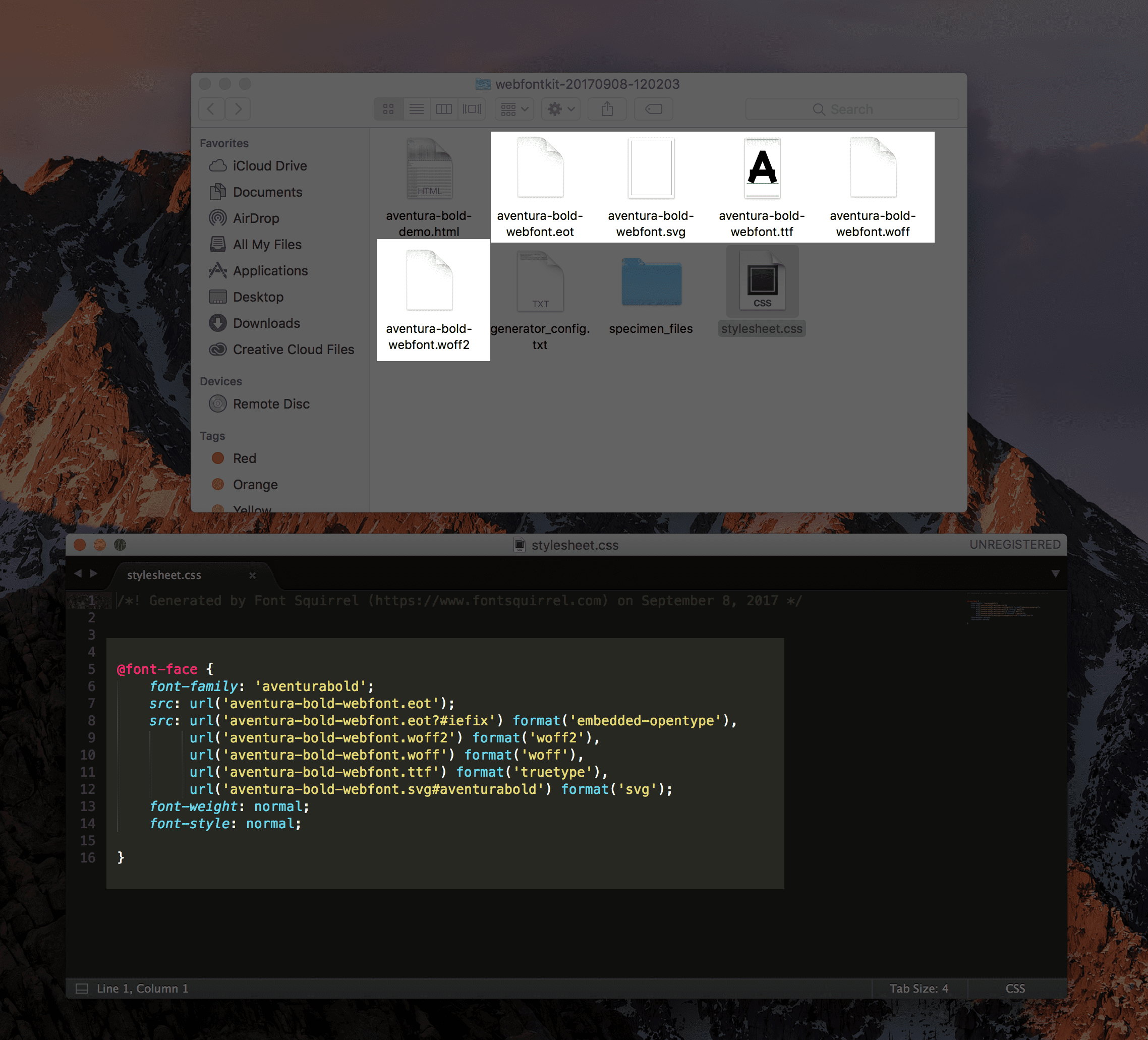 how to use downloaded fonts