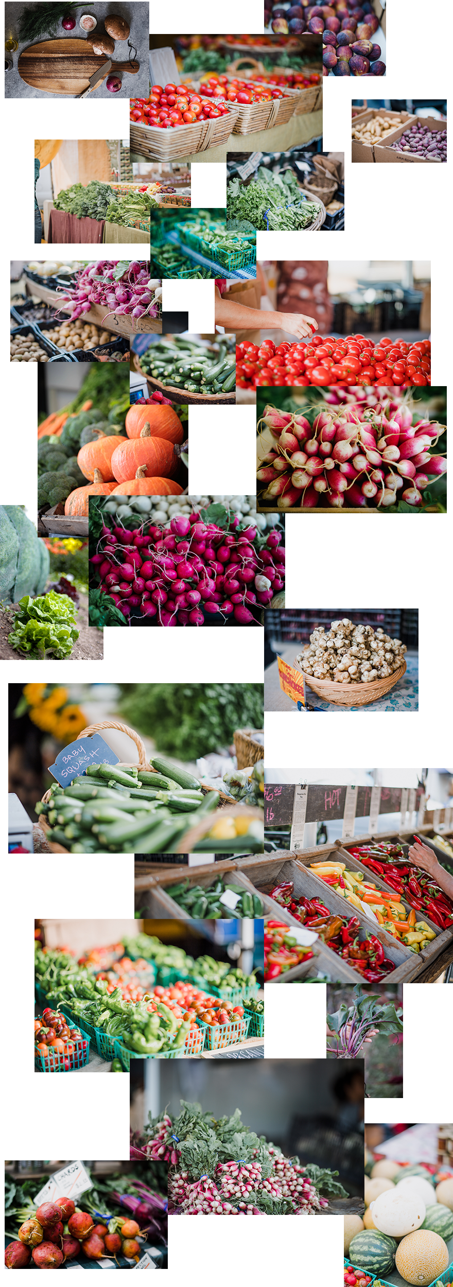 divi-farmers-market-layout-pack-image-assets