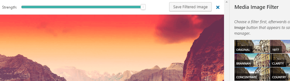 Applying a filter to your images.