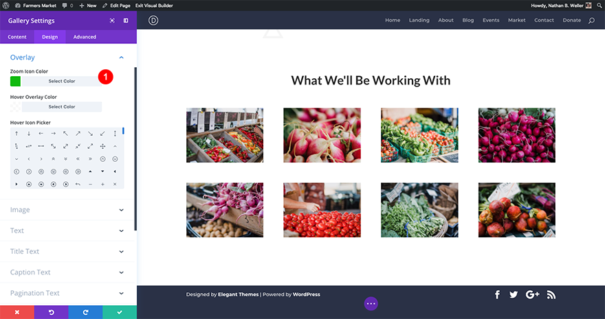 divi-registration-page-section-4-2