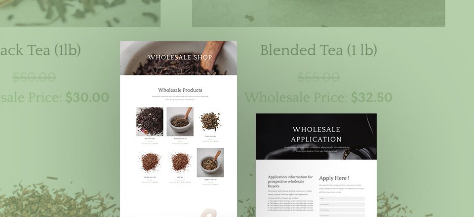 How to Add Wholesale Options to Your Divi & WooCommerce Powered Shop
