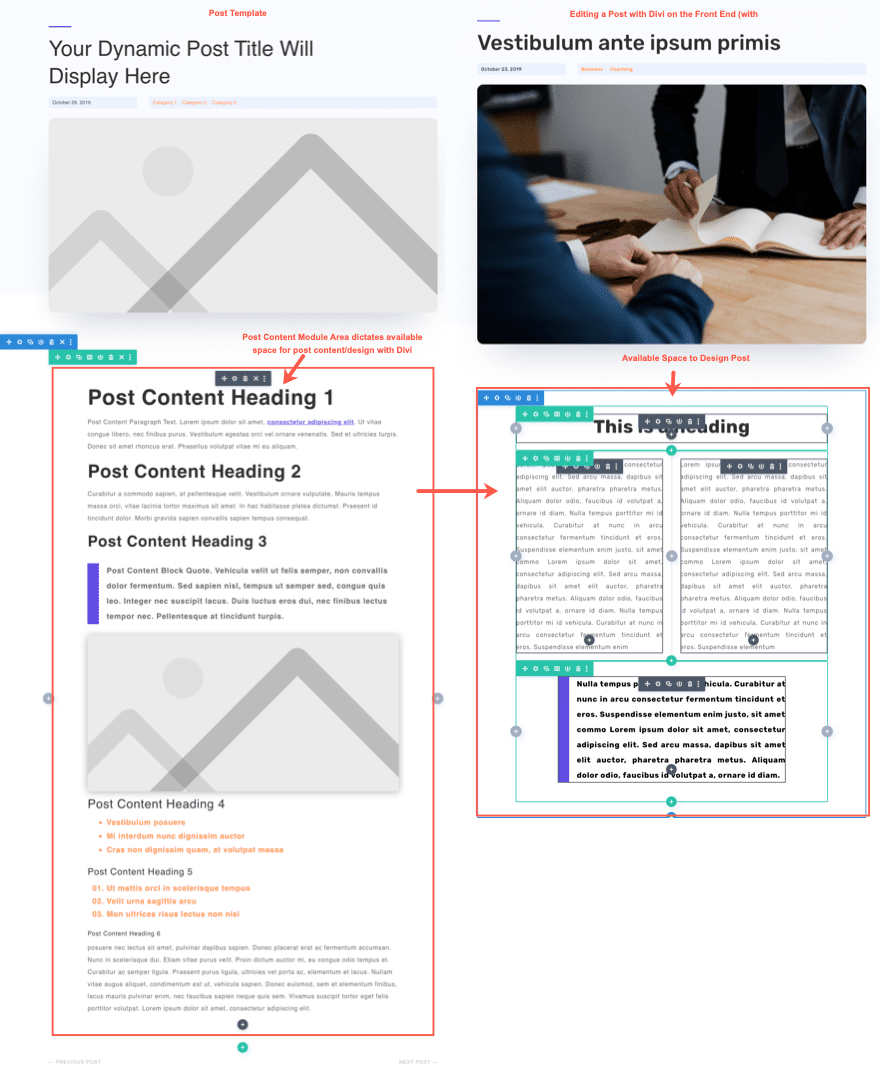 Divi Post Content Module