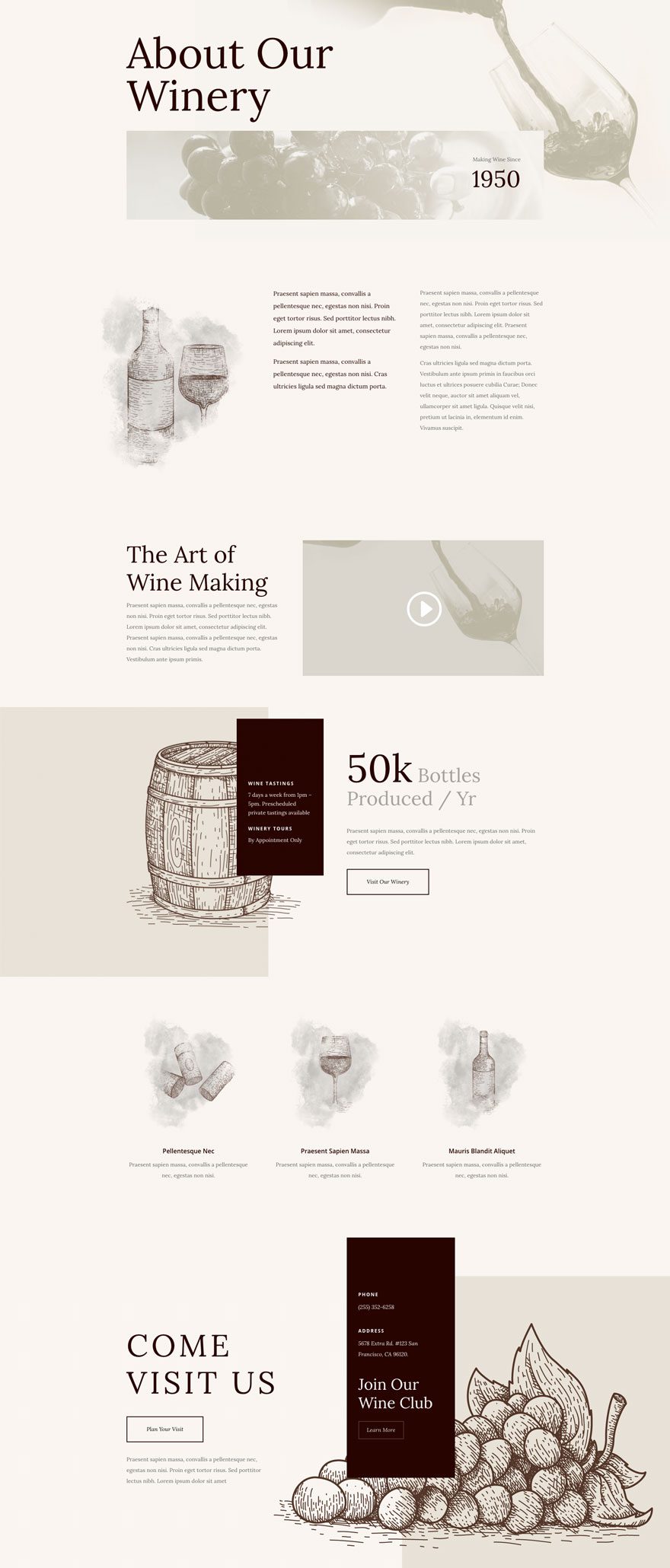 divi winery layout pack