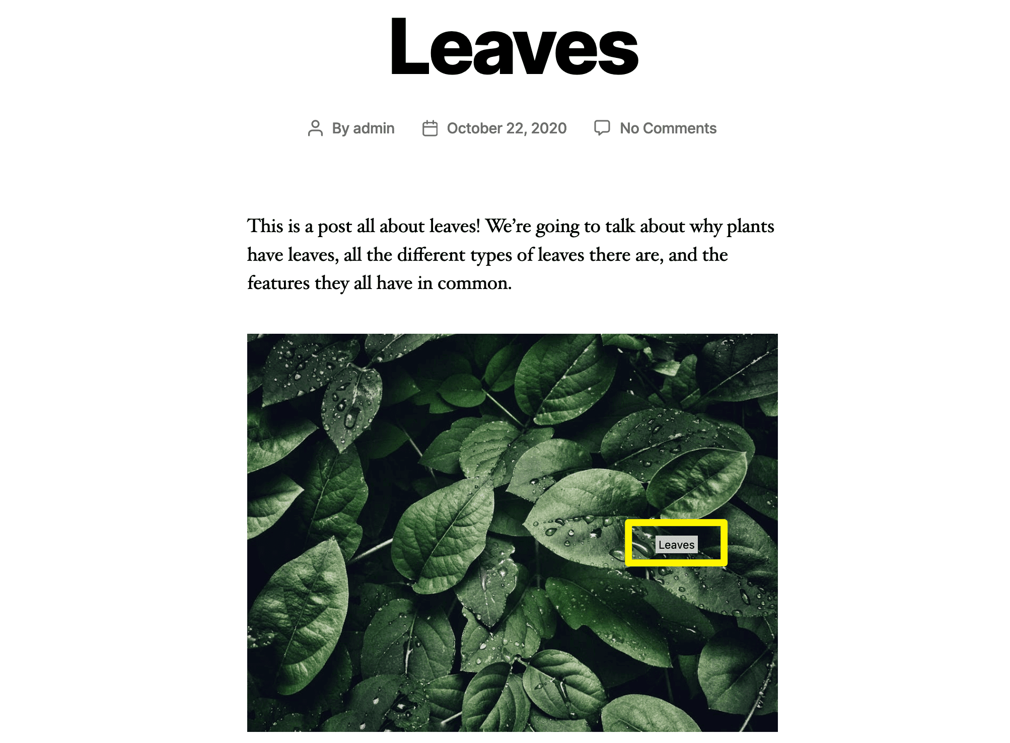 An example of an image title attribute tooltip.
