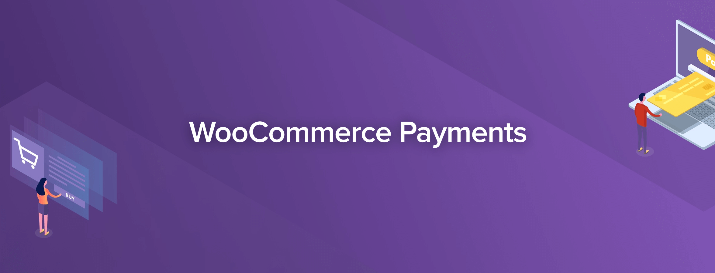The WooCommerce Payments extension.