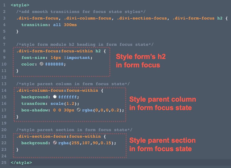 add CSS focus state styling to elements in divi