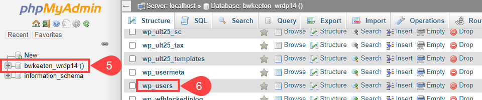 wp_users database for passwords