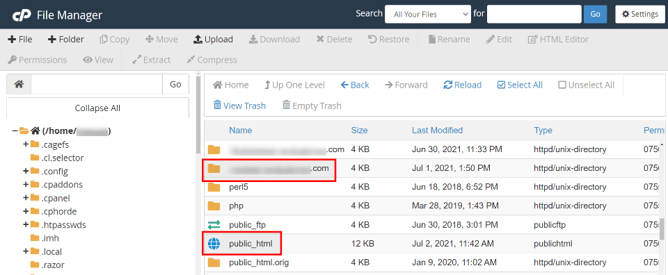 Check the wp-config File