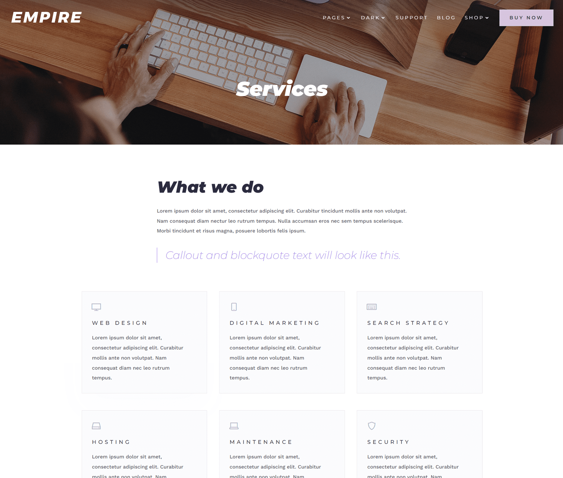 Empire Divi Child Theme Services