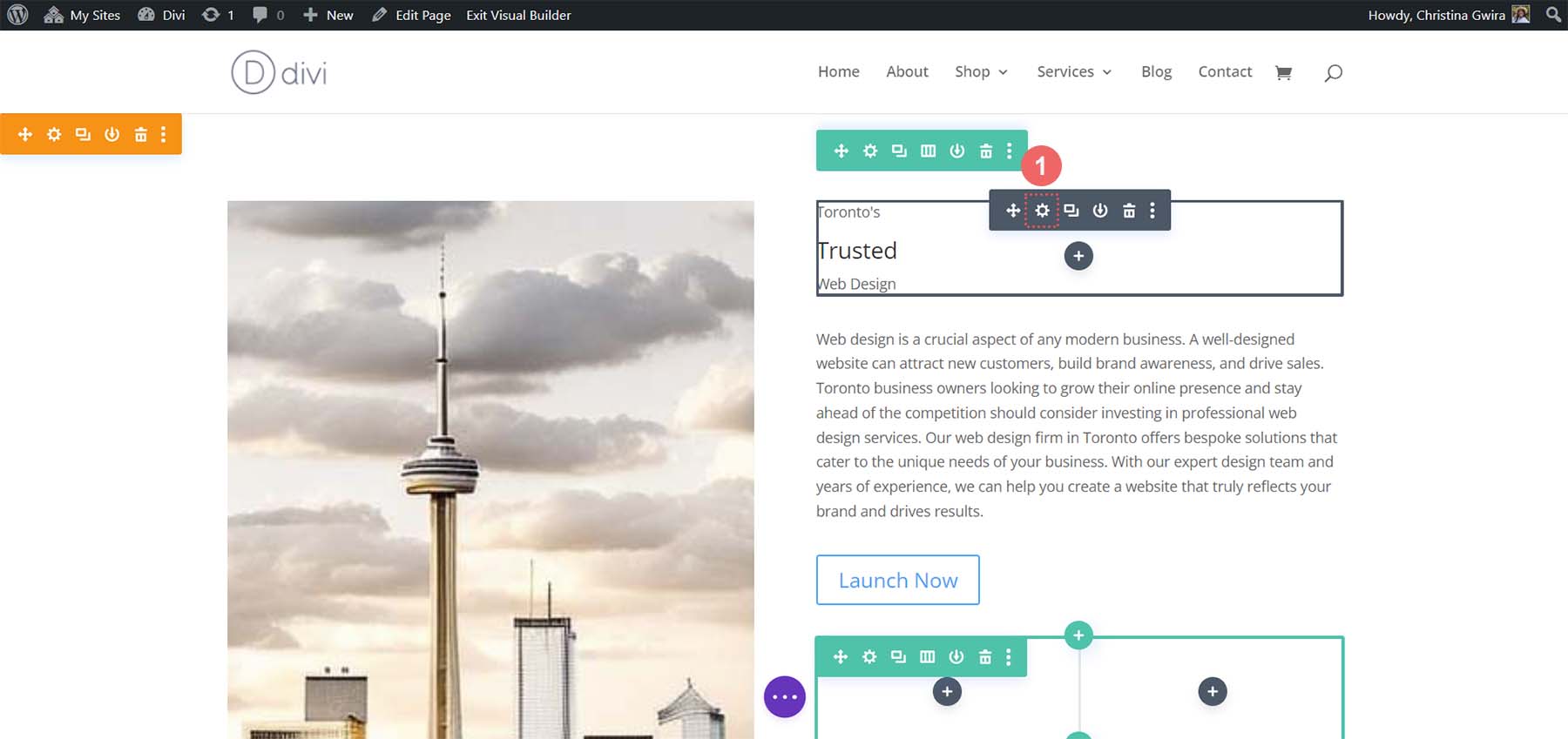 Edit first text module