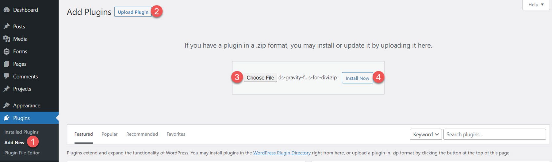 Install Gravity Forms Styler Module for Divi