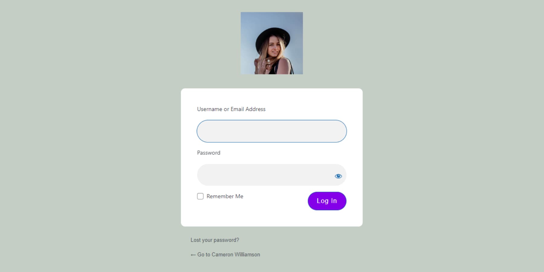 A screenshot of Divi Pixel's custom login page