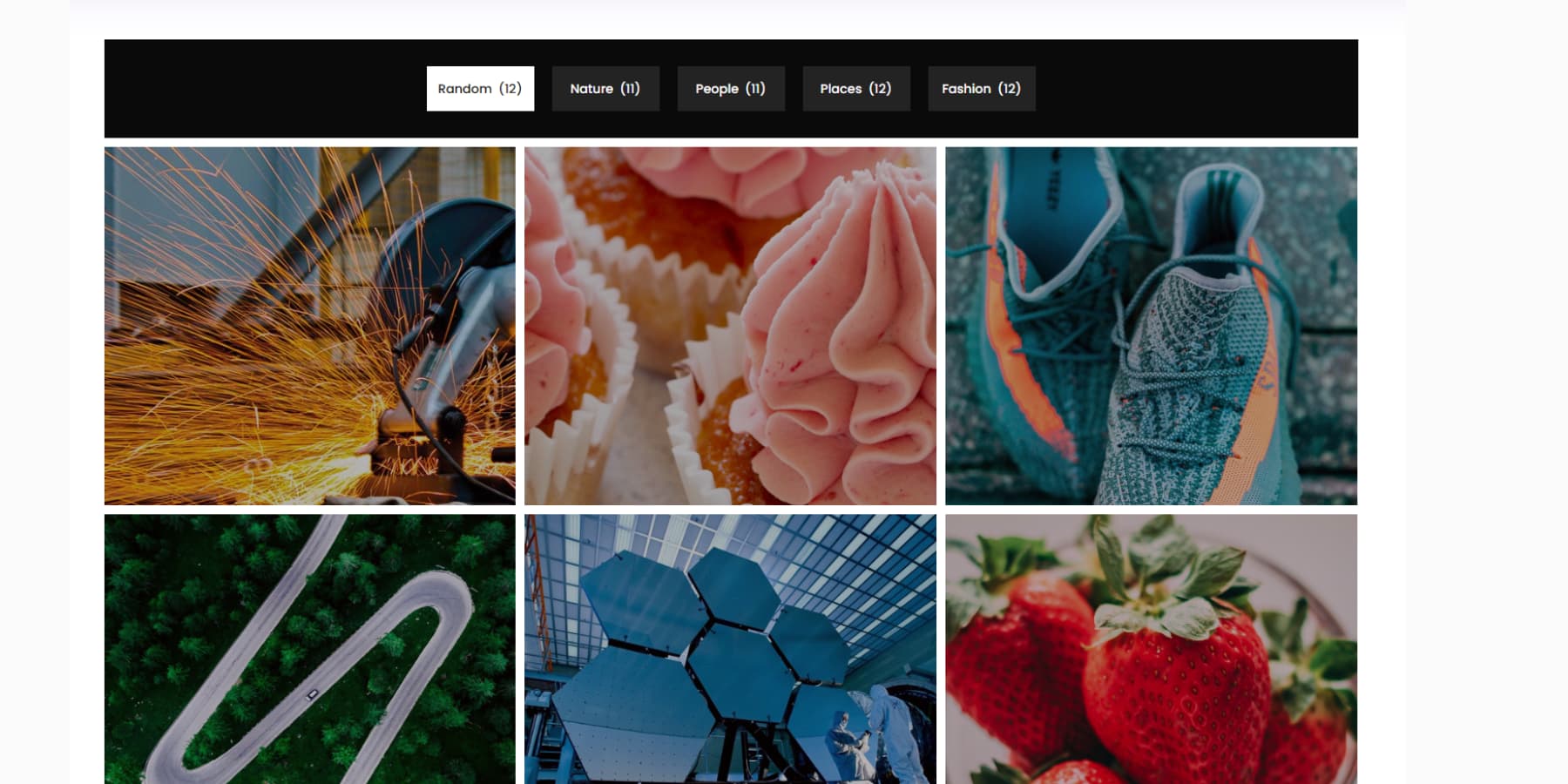 A screenshot of the filterable gallery module by