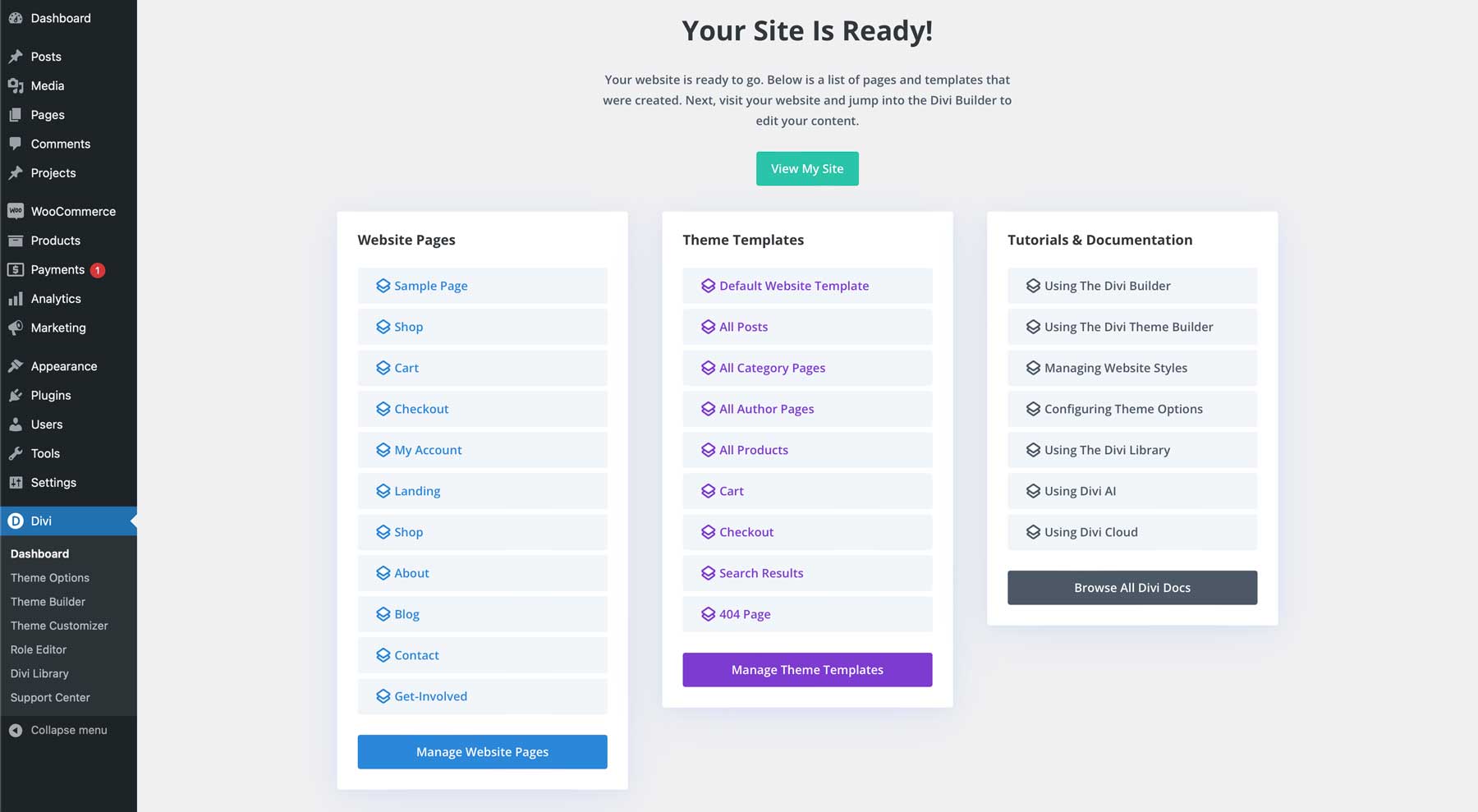 Divi Starter Sites