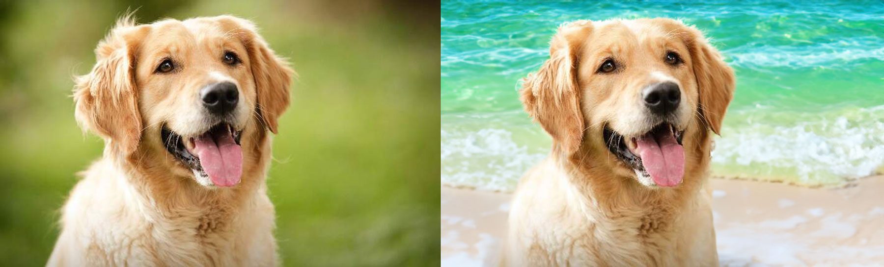 change backgrounds with Photoshop AI