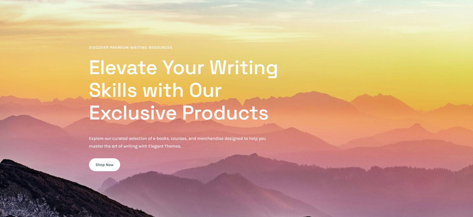 AI Generated Web Page for Ecommerce Shop - Divi AI