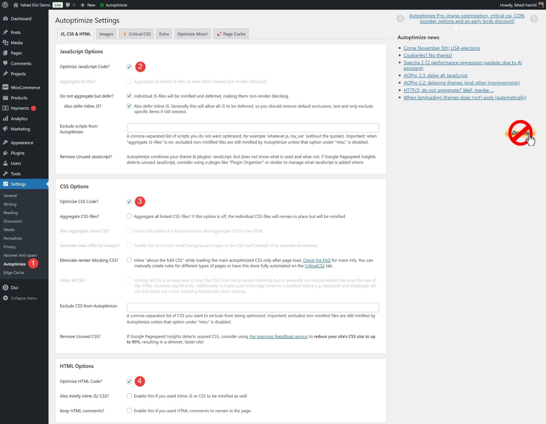 autoptimize settings