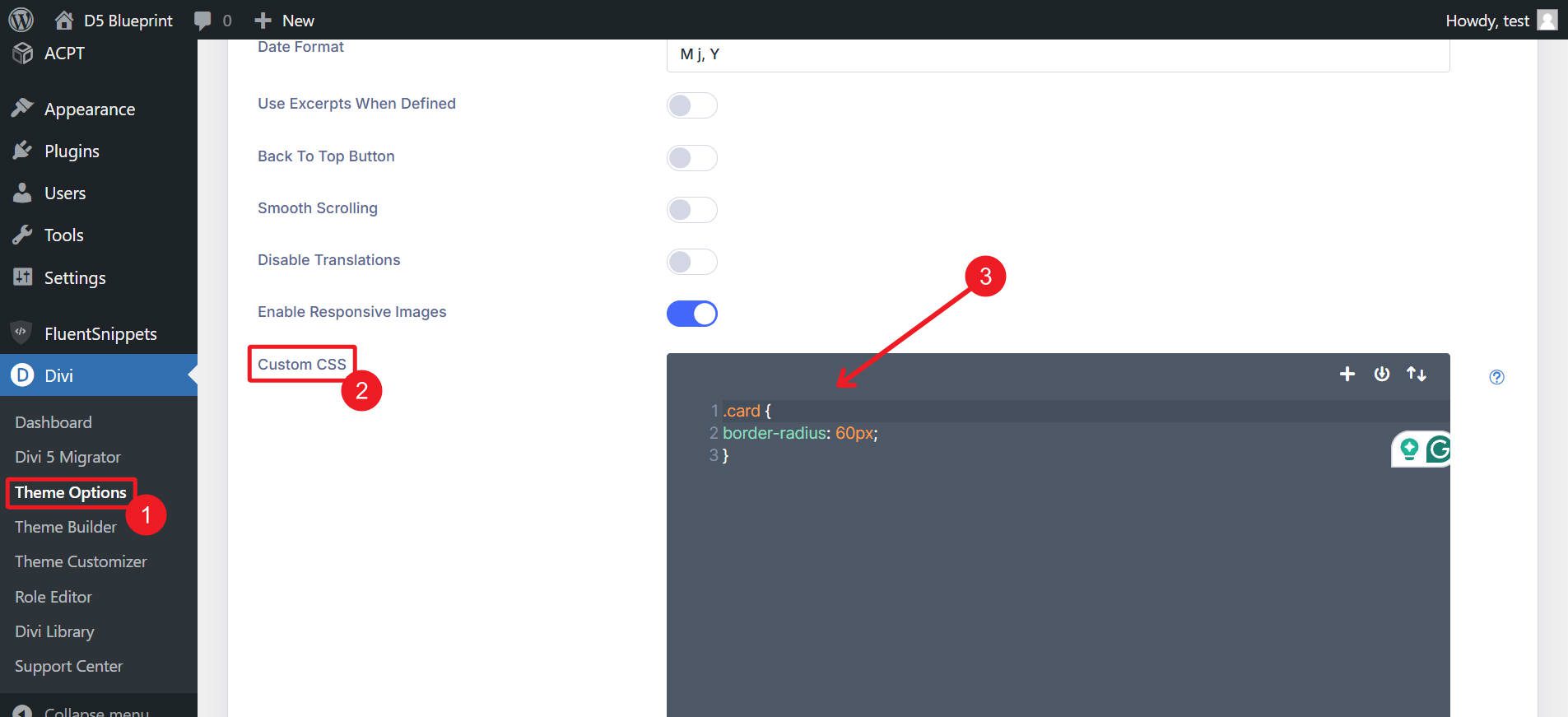 Add Custom CSS to Theme Options Custom CSS Field in Divi