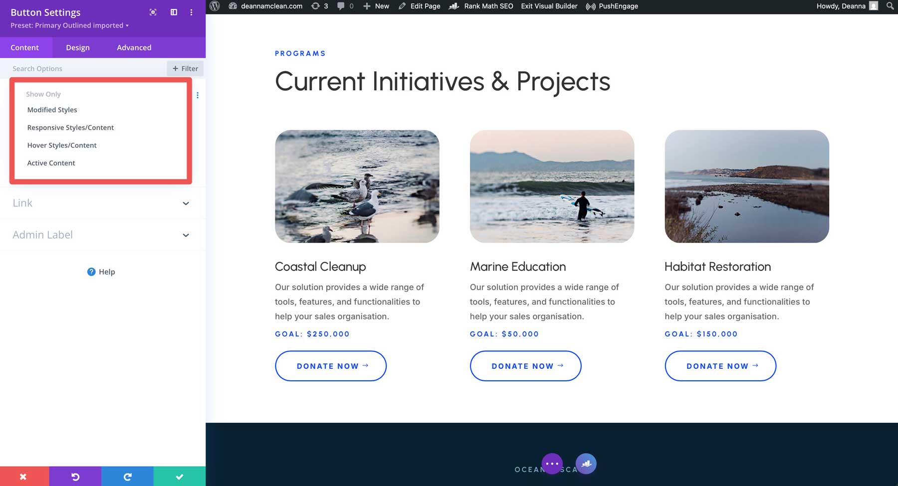Divi 4 filter options
