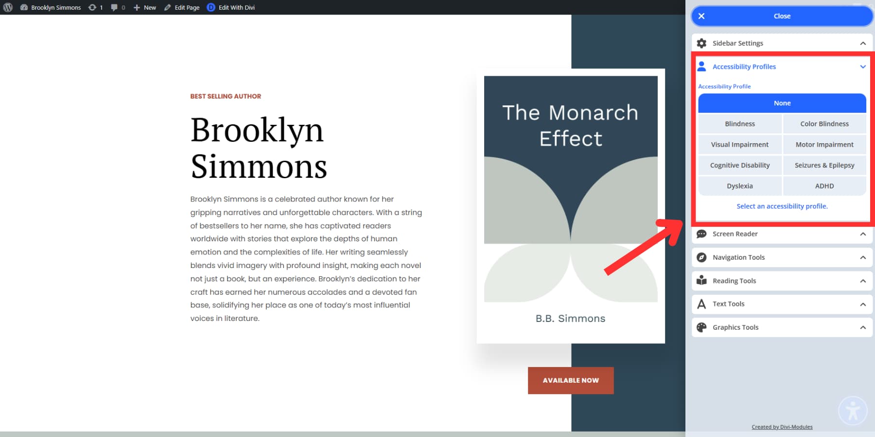 A screenshot of Accessibility Sidebar profiles