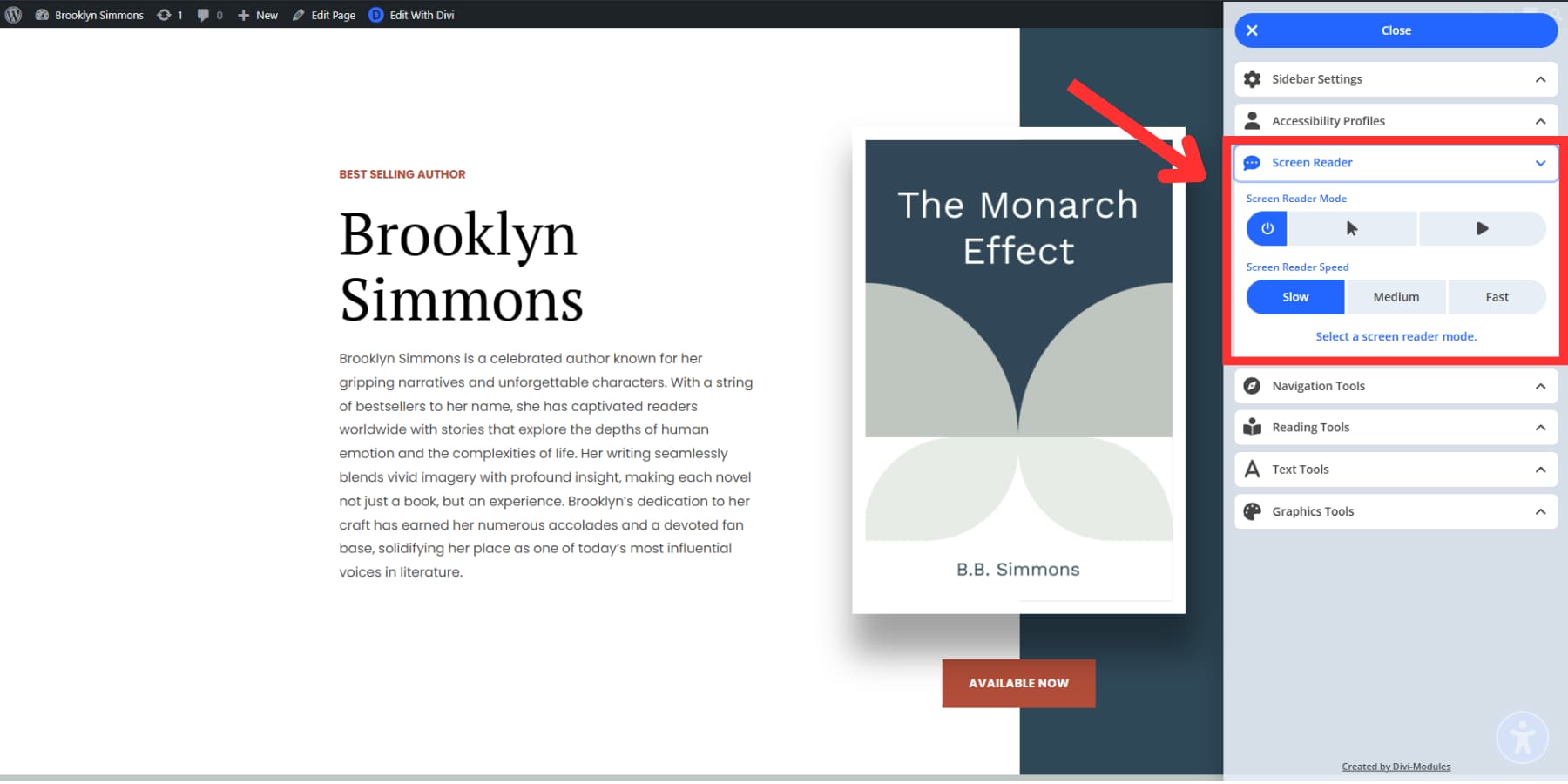 A screenshot of Accessibility Sidebar's screen reader mode