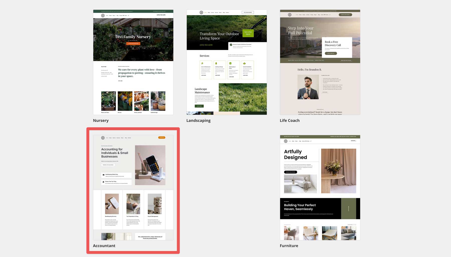 Accountant starter site for Divi