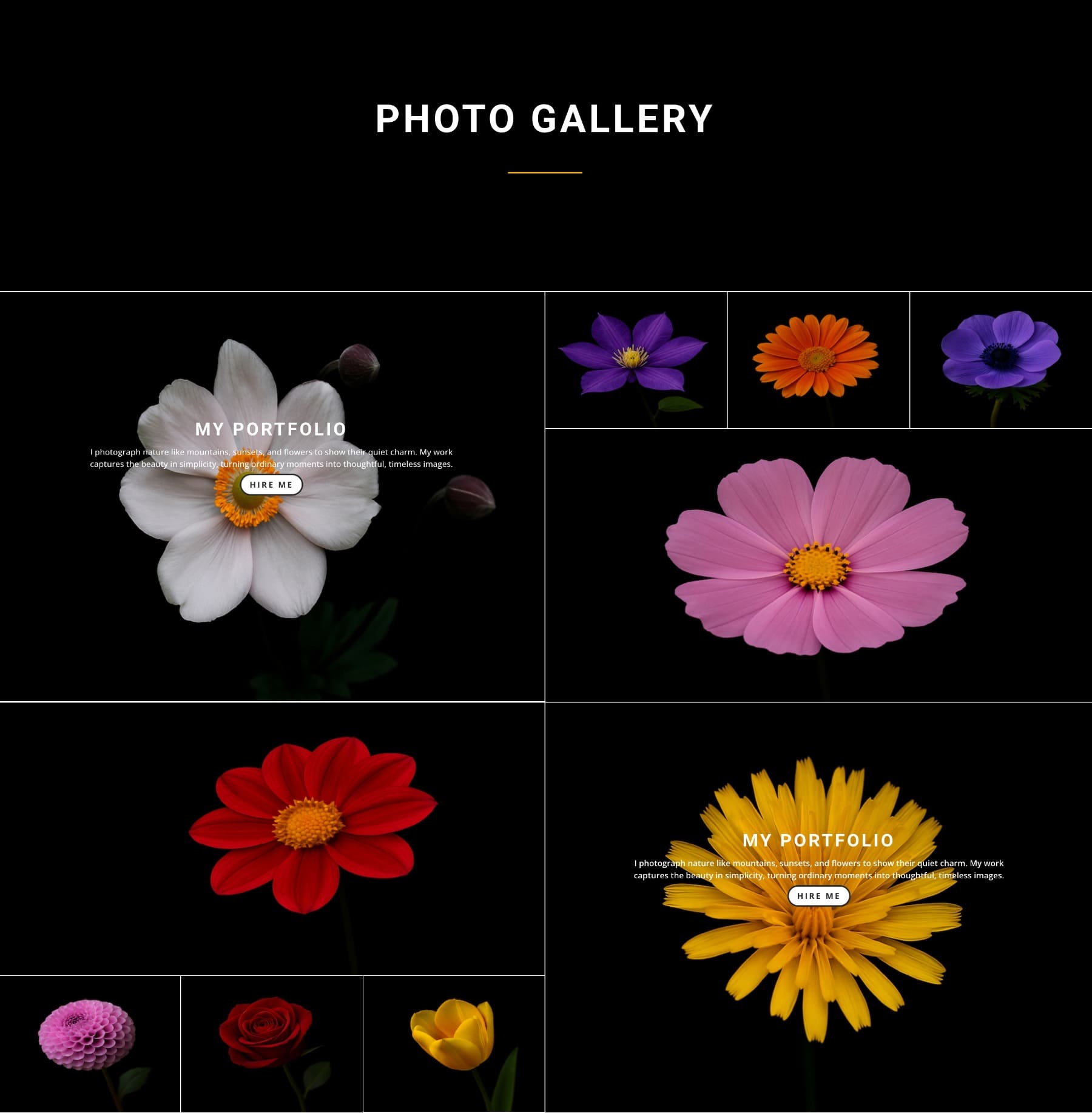 asymmetric portfolio grid