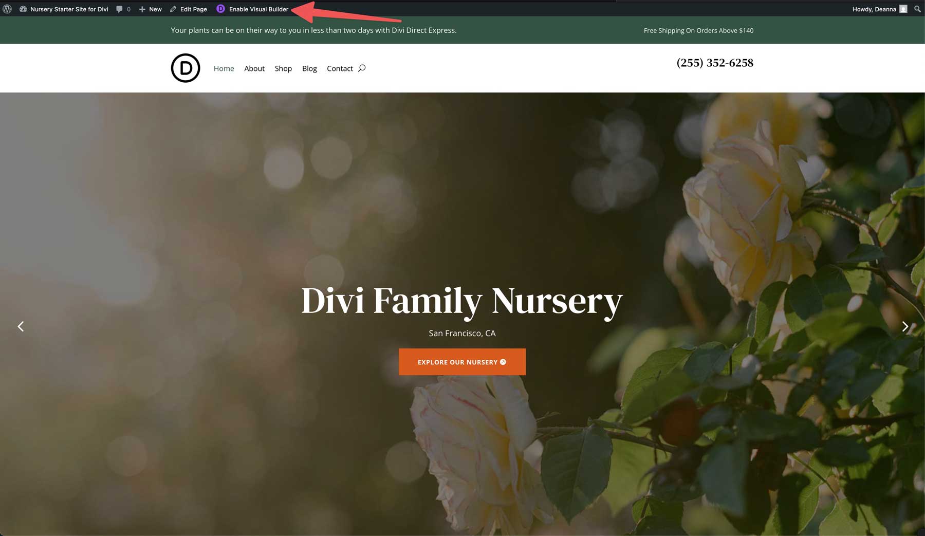 Nursery starter site for Divi