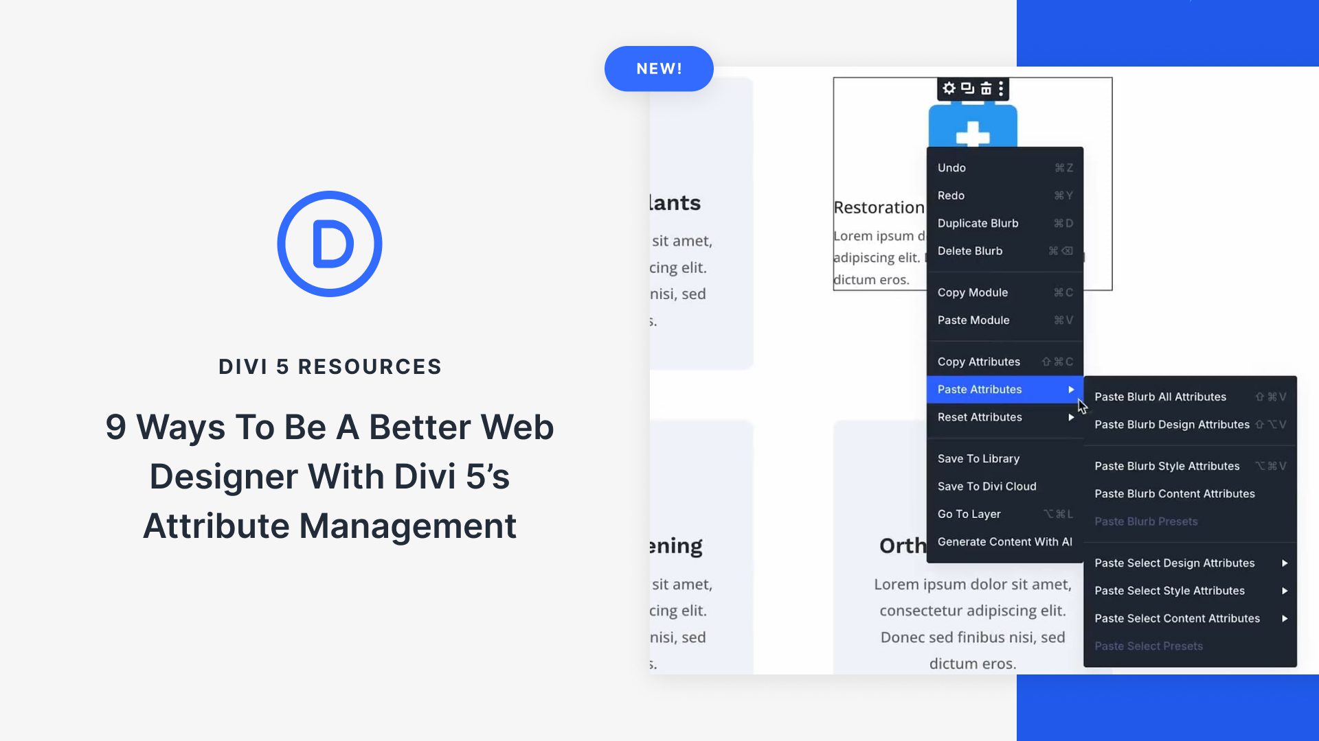 9 Ways To Be A Better Web Designer With Divi 5’s Attribute Management