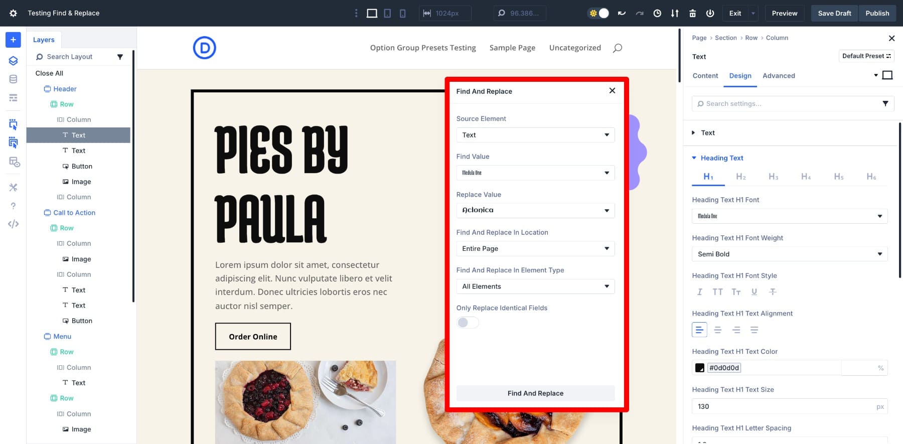 Entered Find And Replace field values