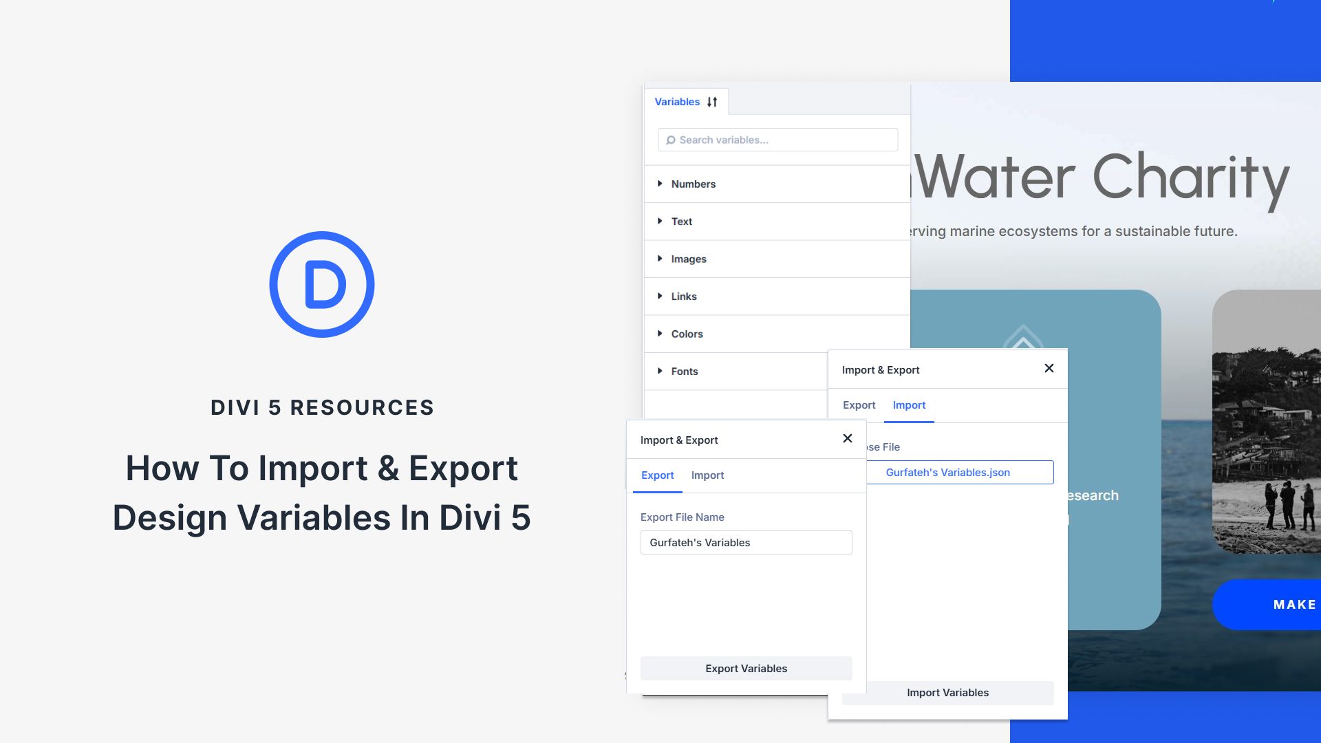 How To Import & Export Design Variables In Divi 5