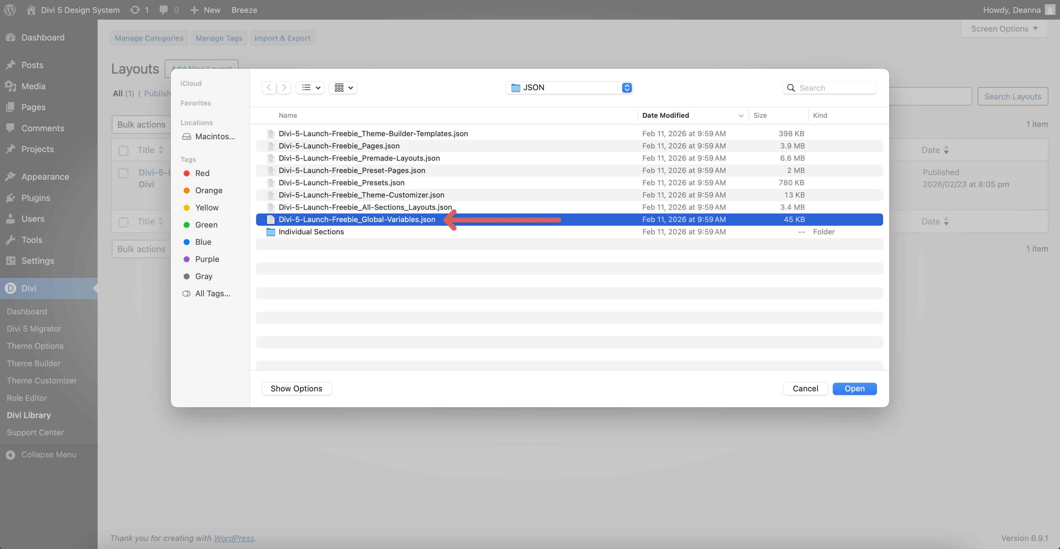 import global variables into Divi 5