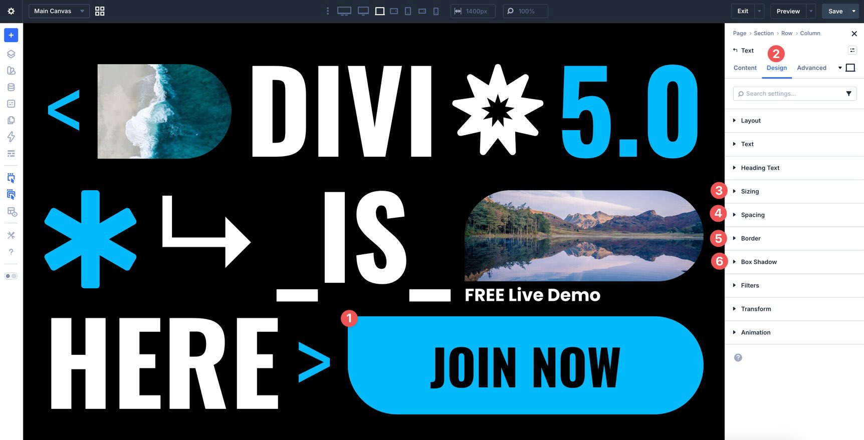 Divi 5 design settings
