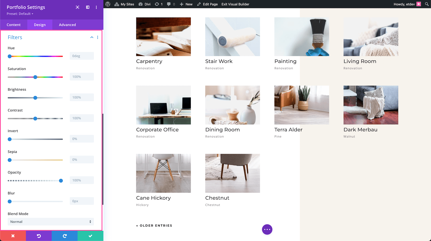 Divi Portfolio Module