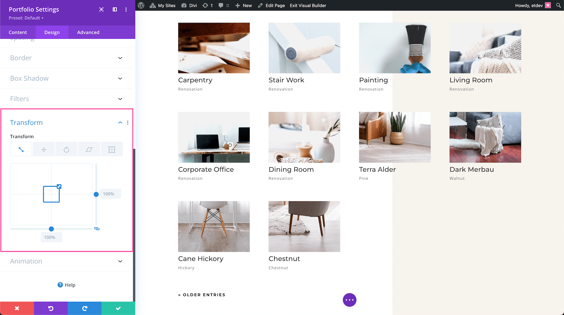 Divi Portfolio Module