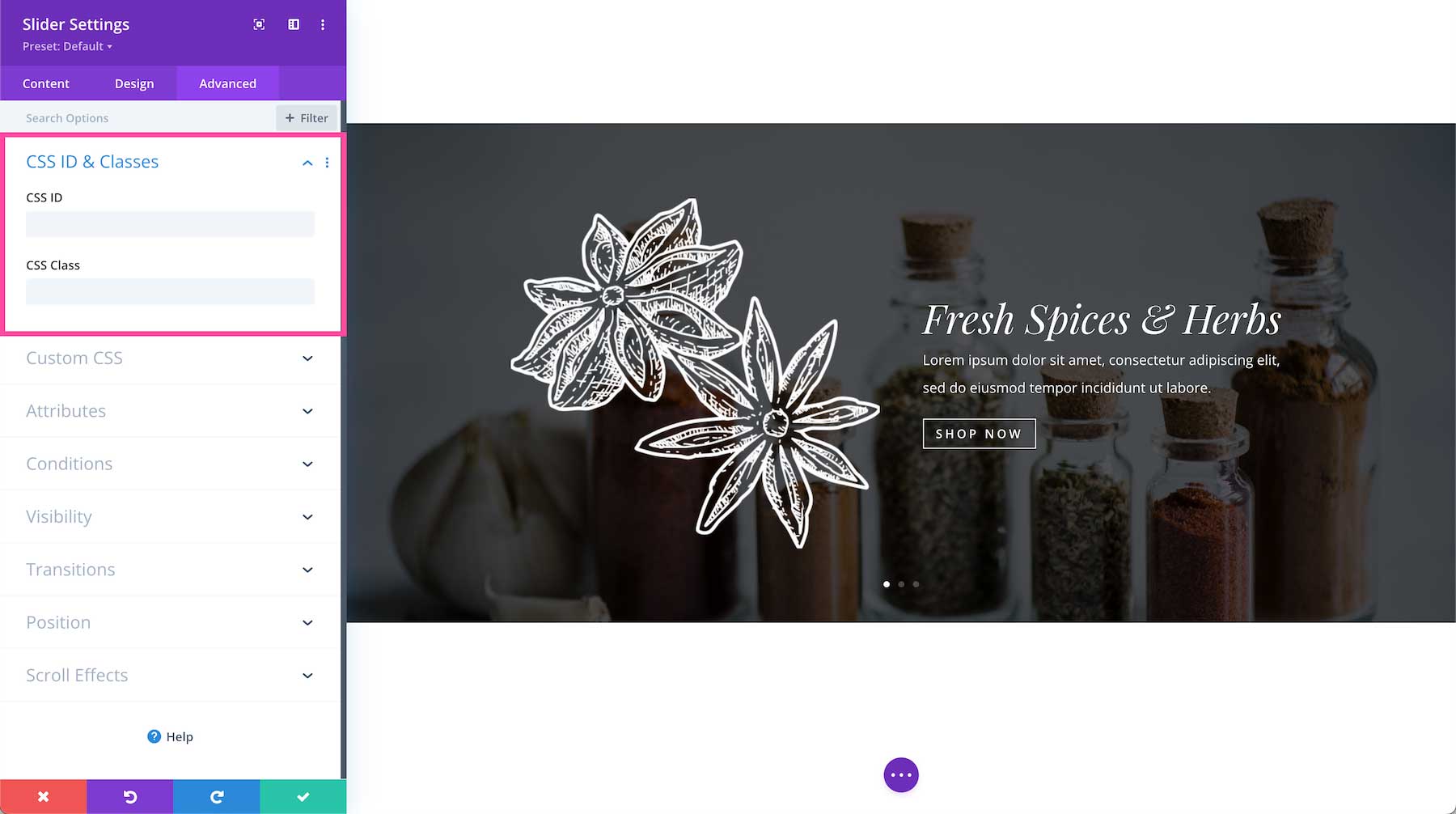 Divi Slider Module