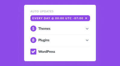 Divi Dash Auto Updates
