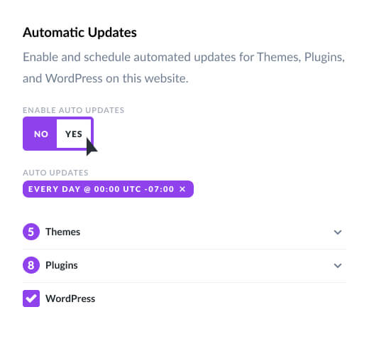 Divi Dash Auto Update