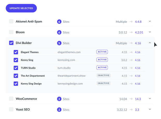 Divi Dash Themes & Plugins Management