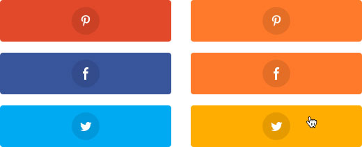 Monarch Design Color