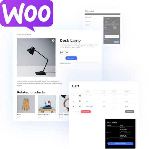 Divi Quick Sites Ecommerce